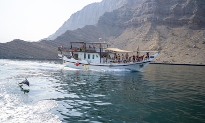 A traditional wooden boat is cruising on calm waters near rugged mountains. Several people are on board, enjoying the scenic view. In the water, a dolphin is playfully swimming alongside the boat.