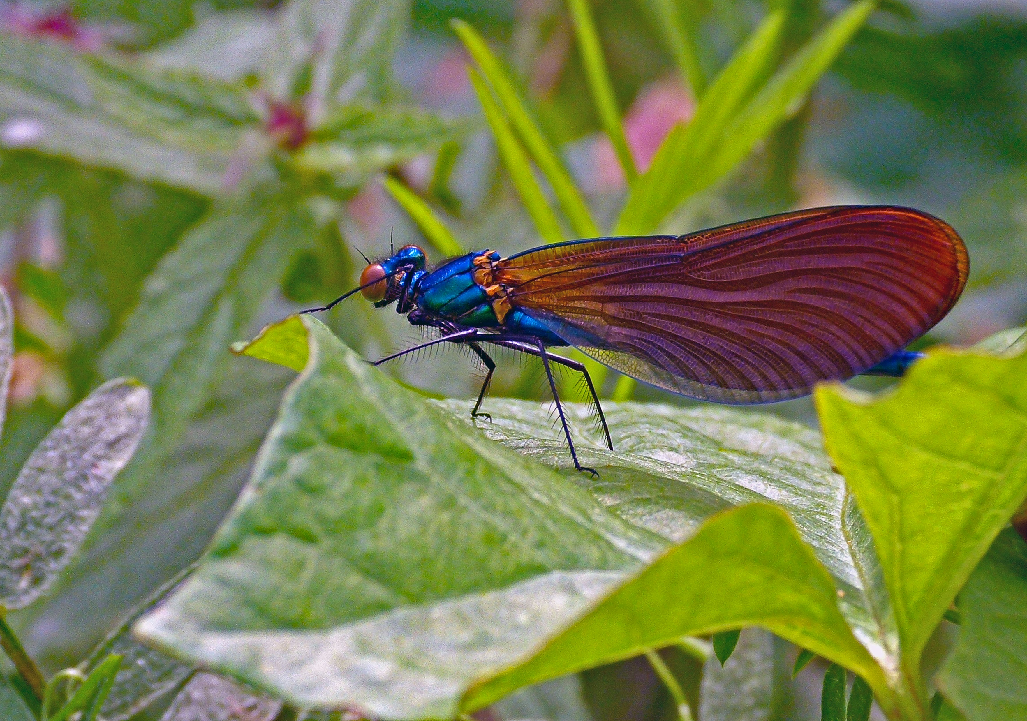 Photo by les_attridge