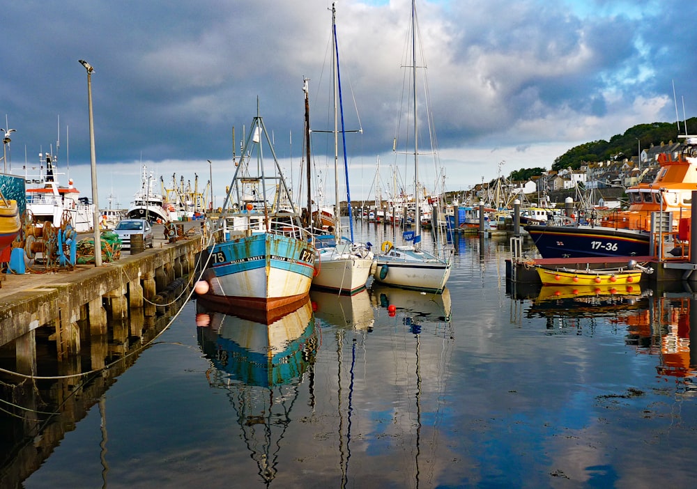 white and blue boats on dock during daytime