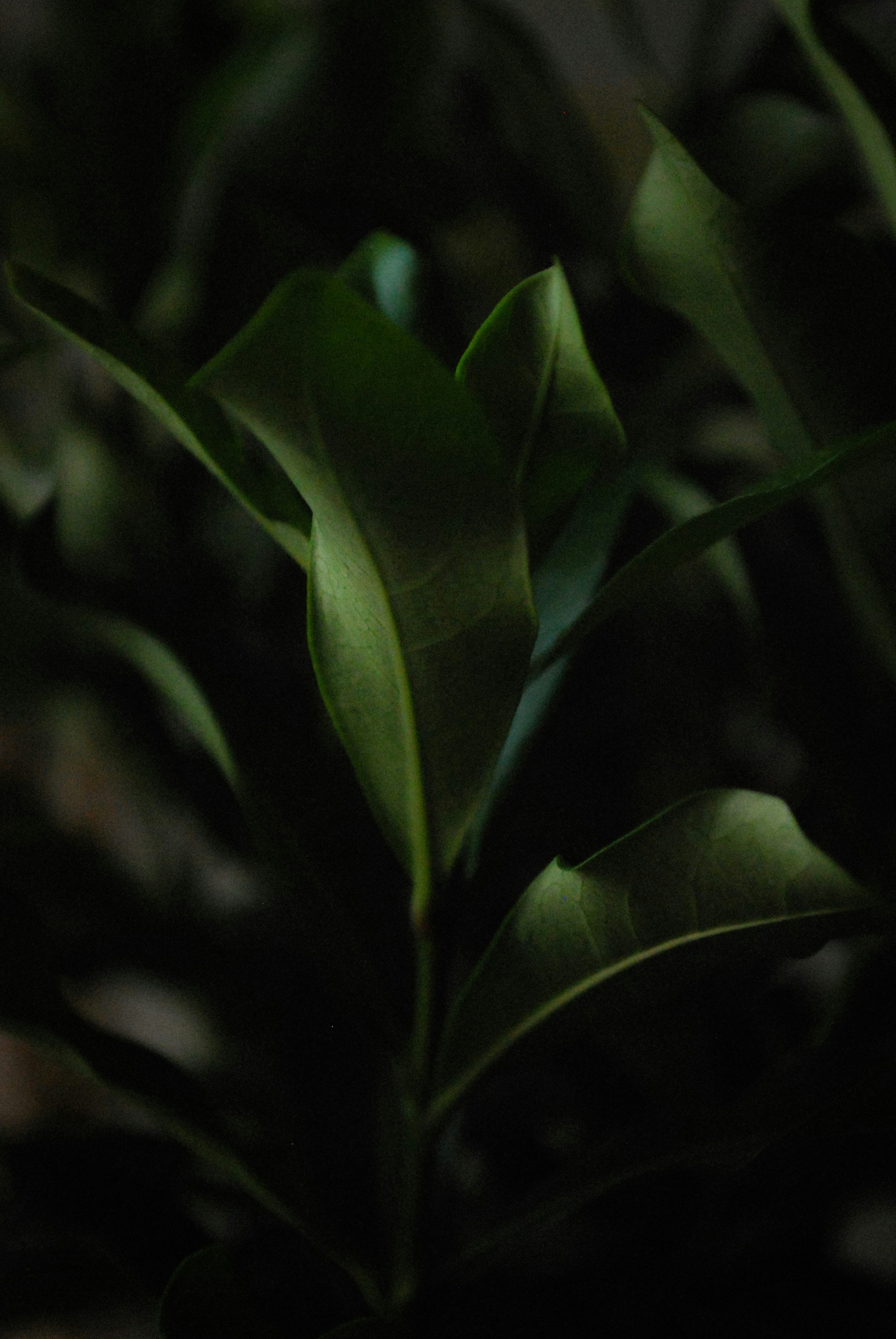 Photo by akshar_dave