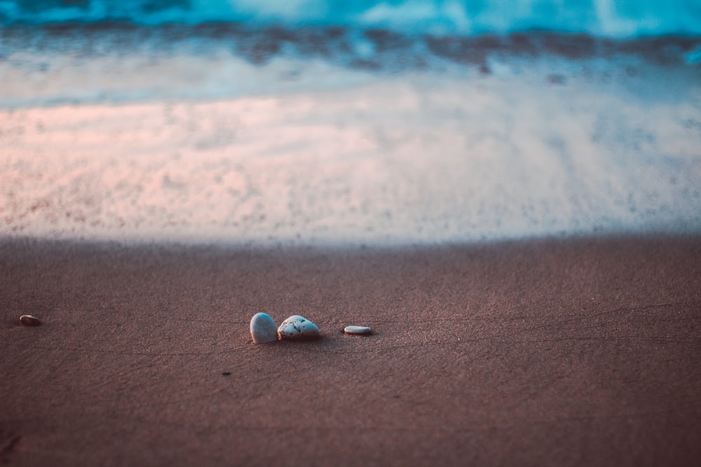 white and blue stones on brown sand