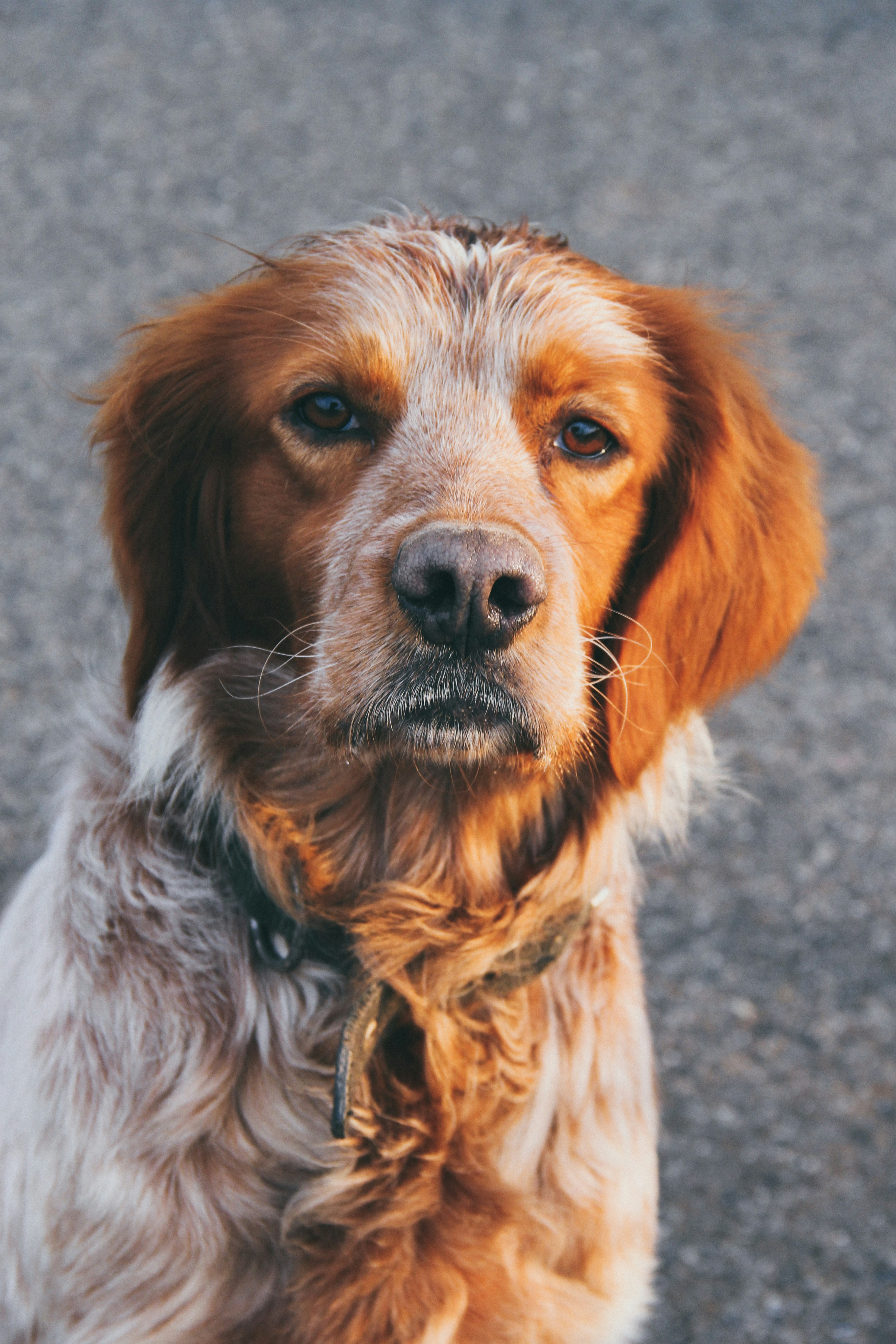 Photo by turkkanirem