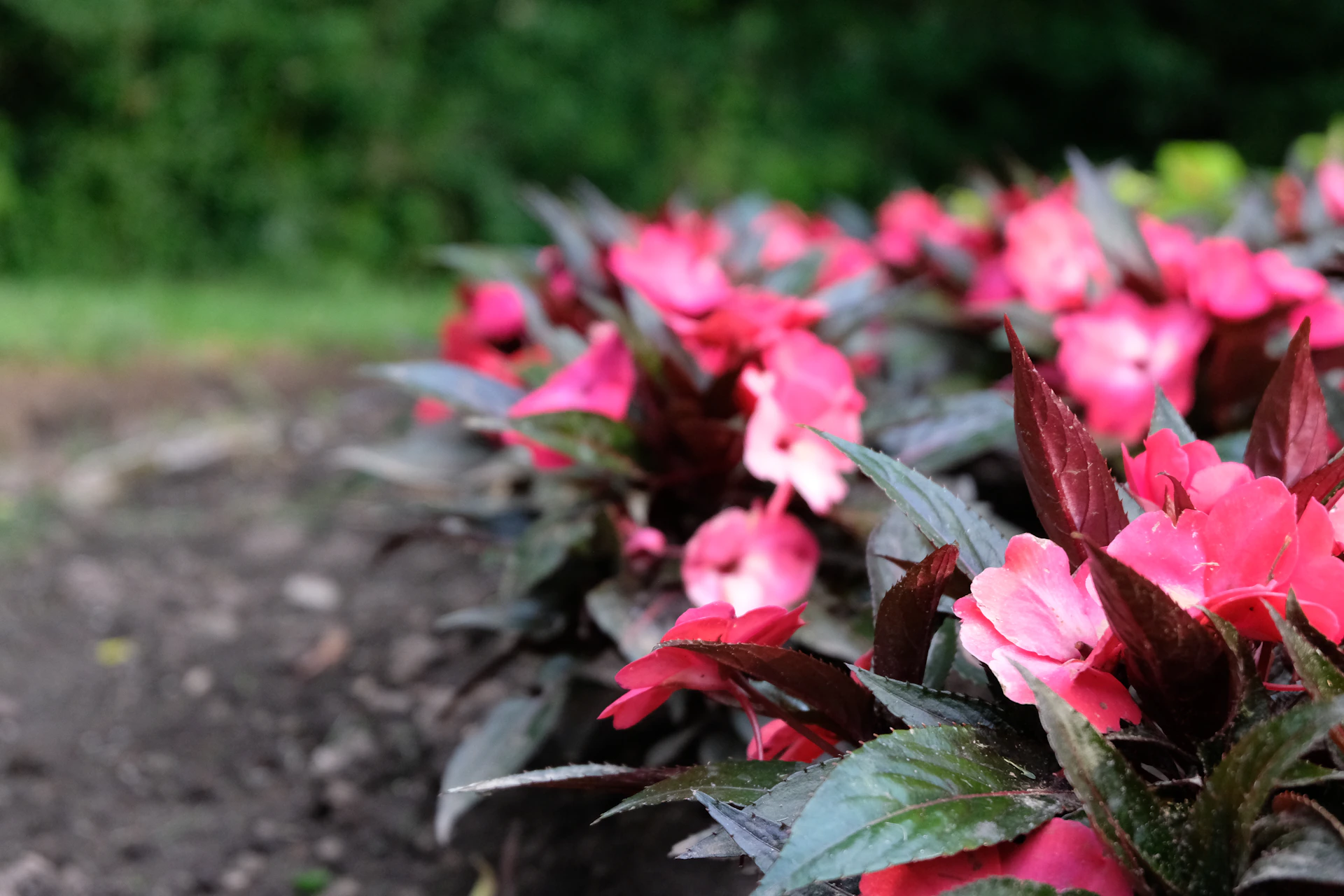 woman wearing yellow long-sleeved dress under white clouds and blue sky during daytime