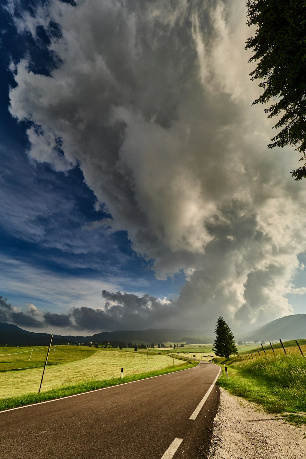 green grass field under white clouds and blue sky during daytime