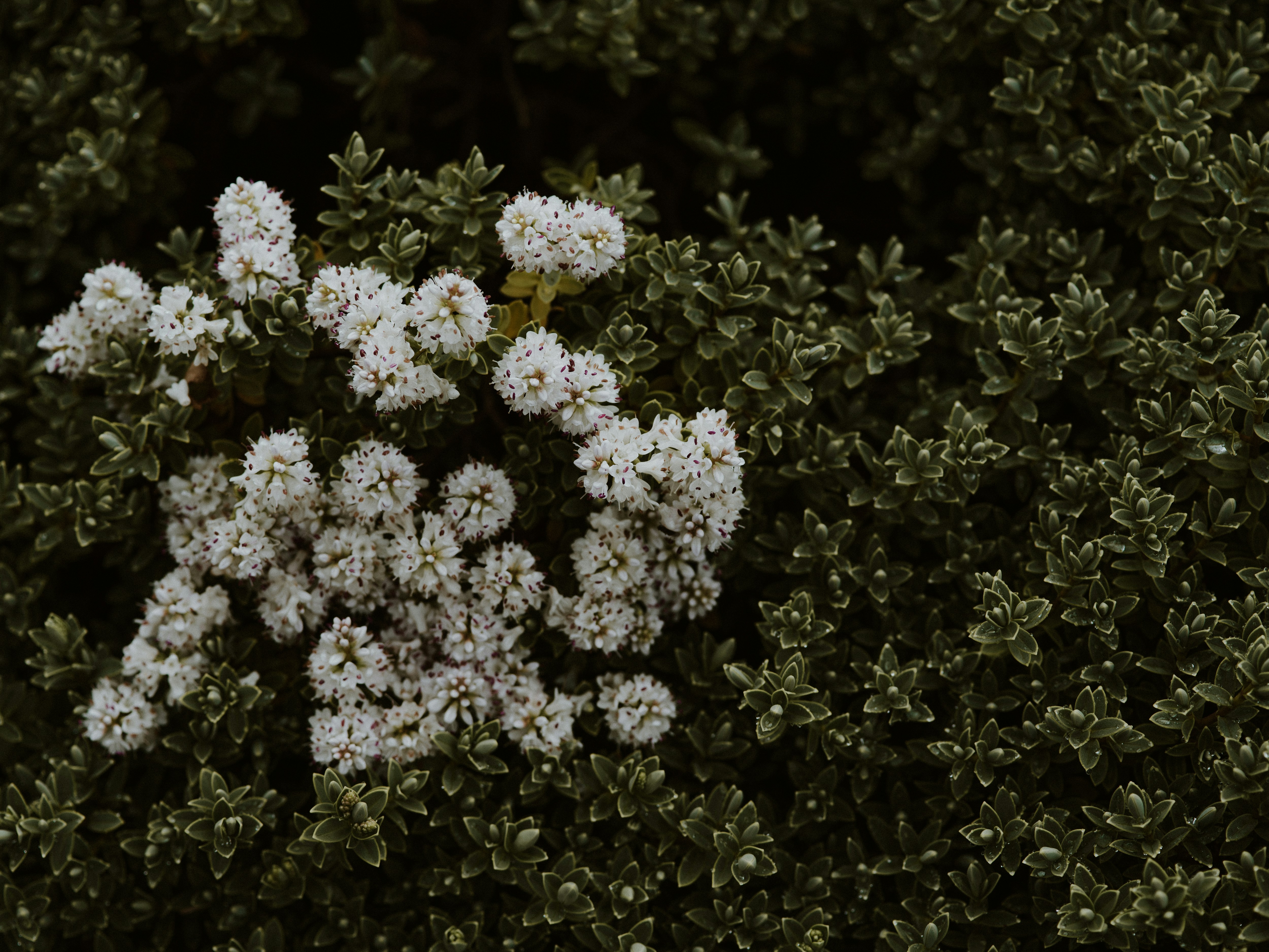 Photo by anniespratt