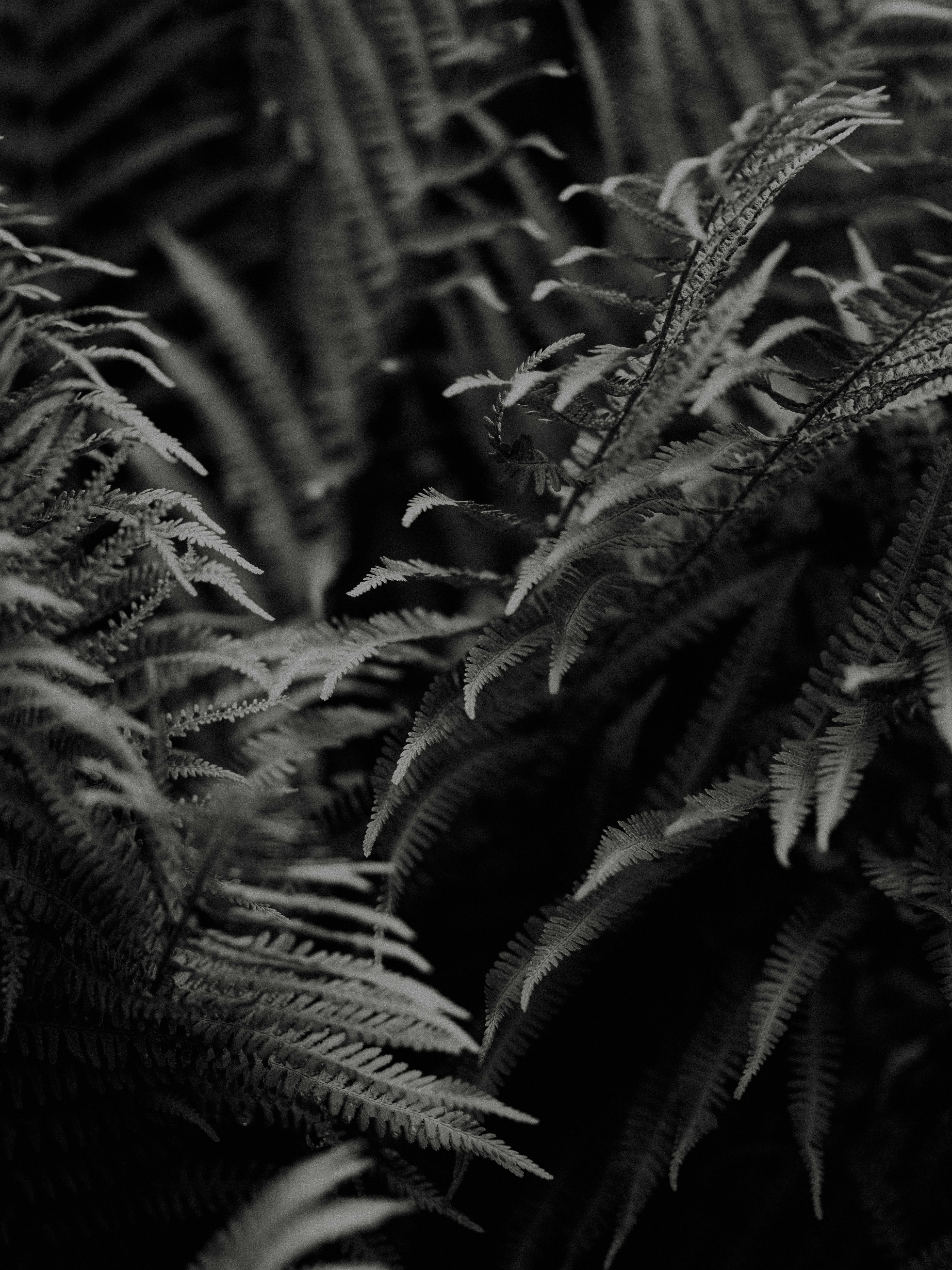 Photo by anniespratt