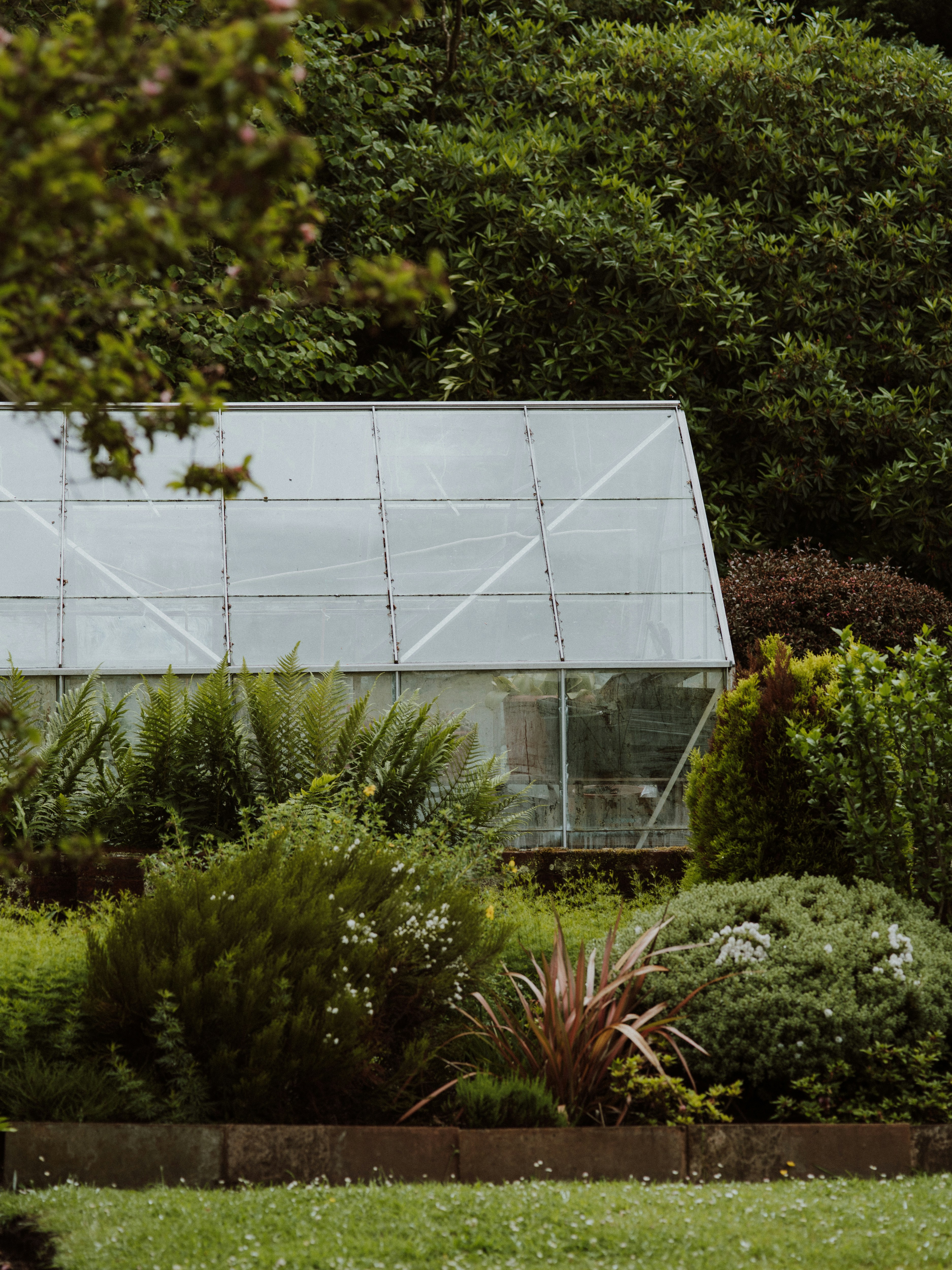 Photo by anniespratt