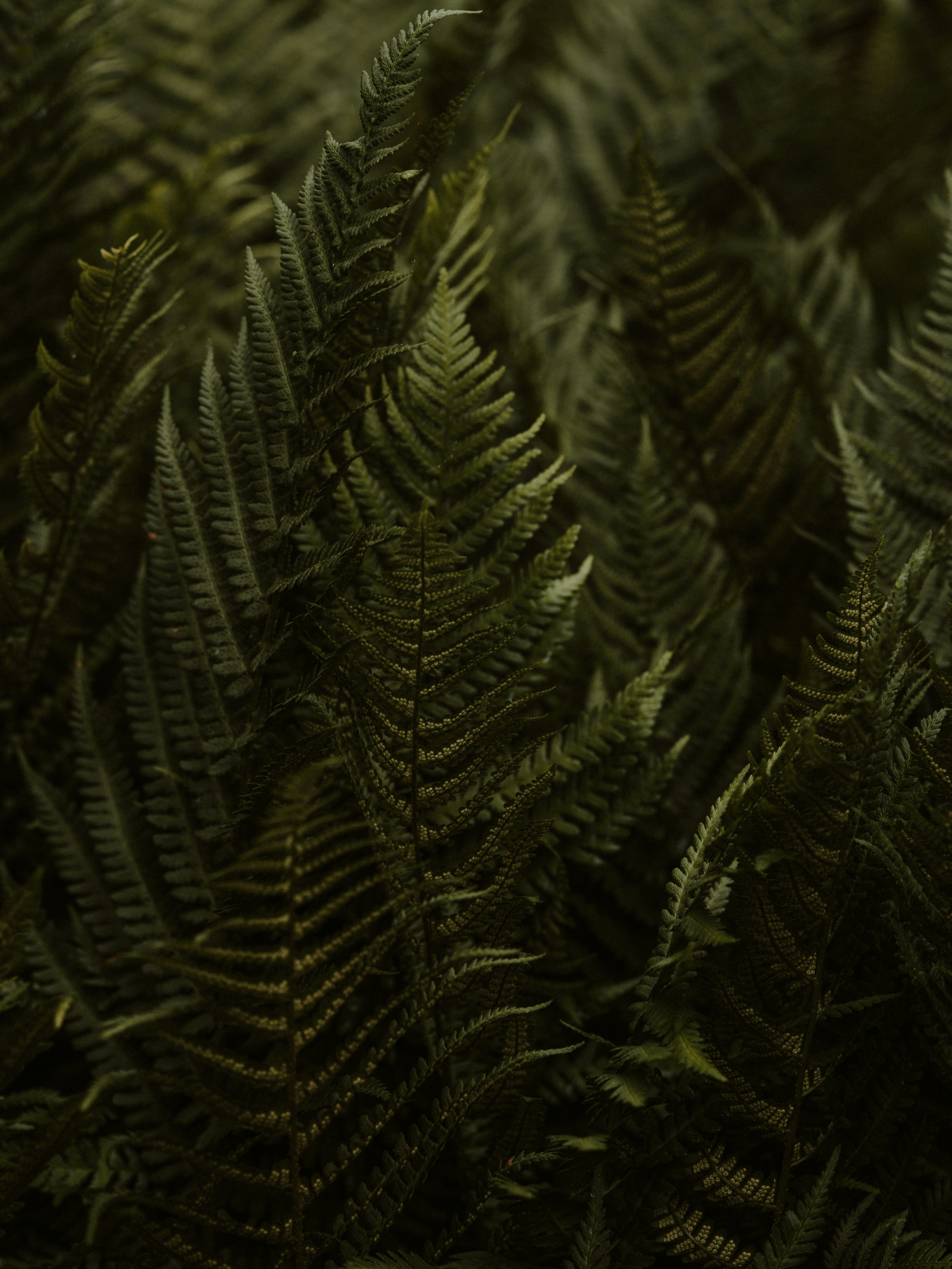 Photo by anniespratt