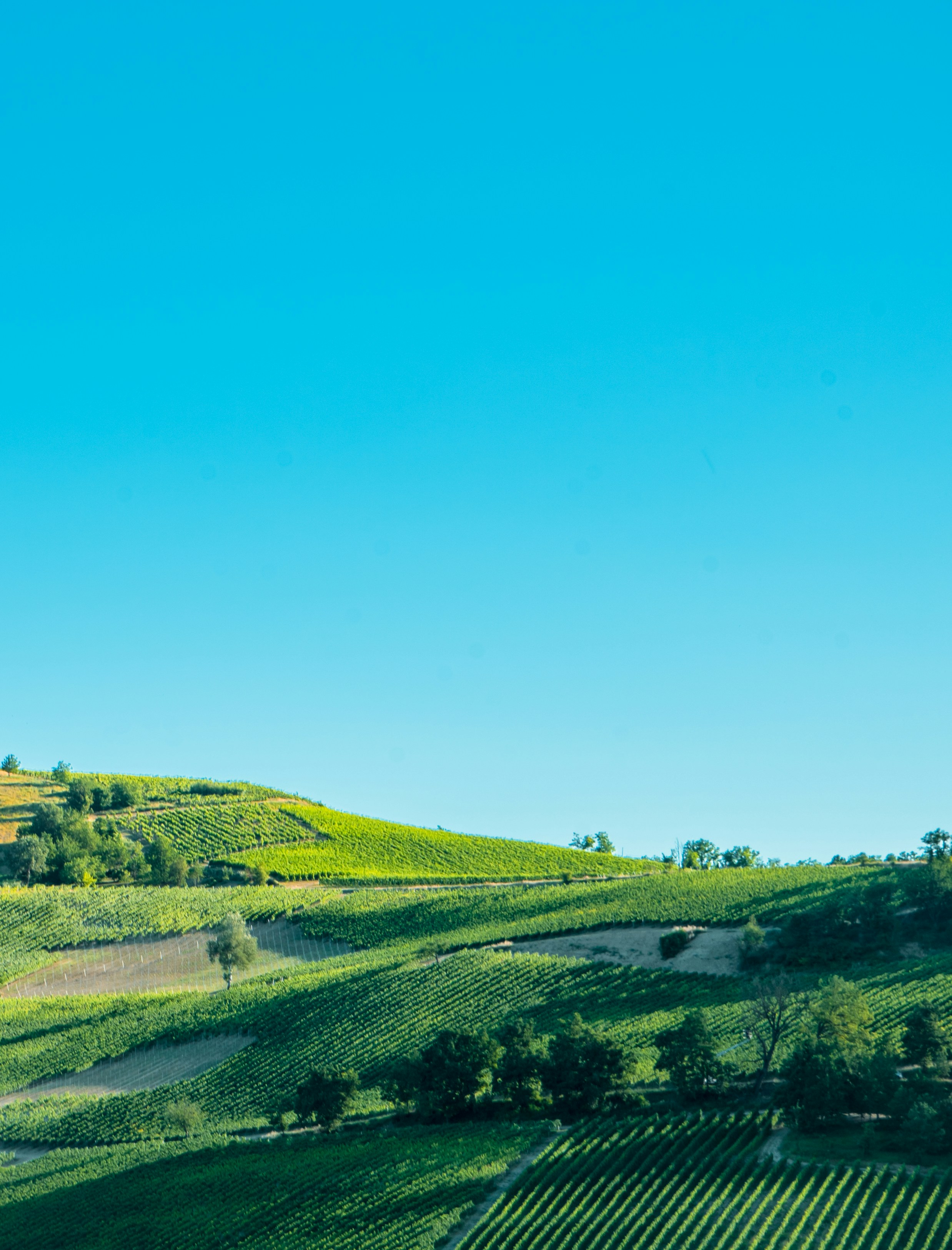 Photo by giovanni1304