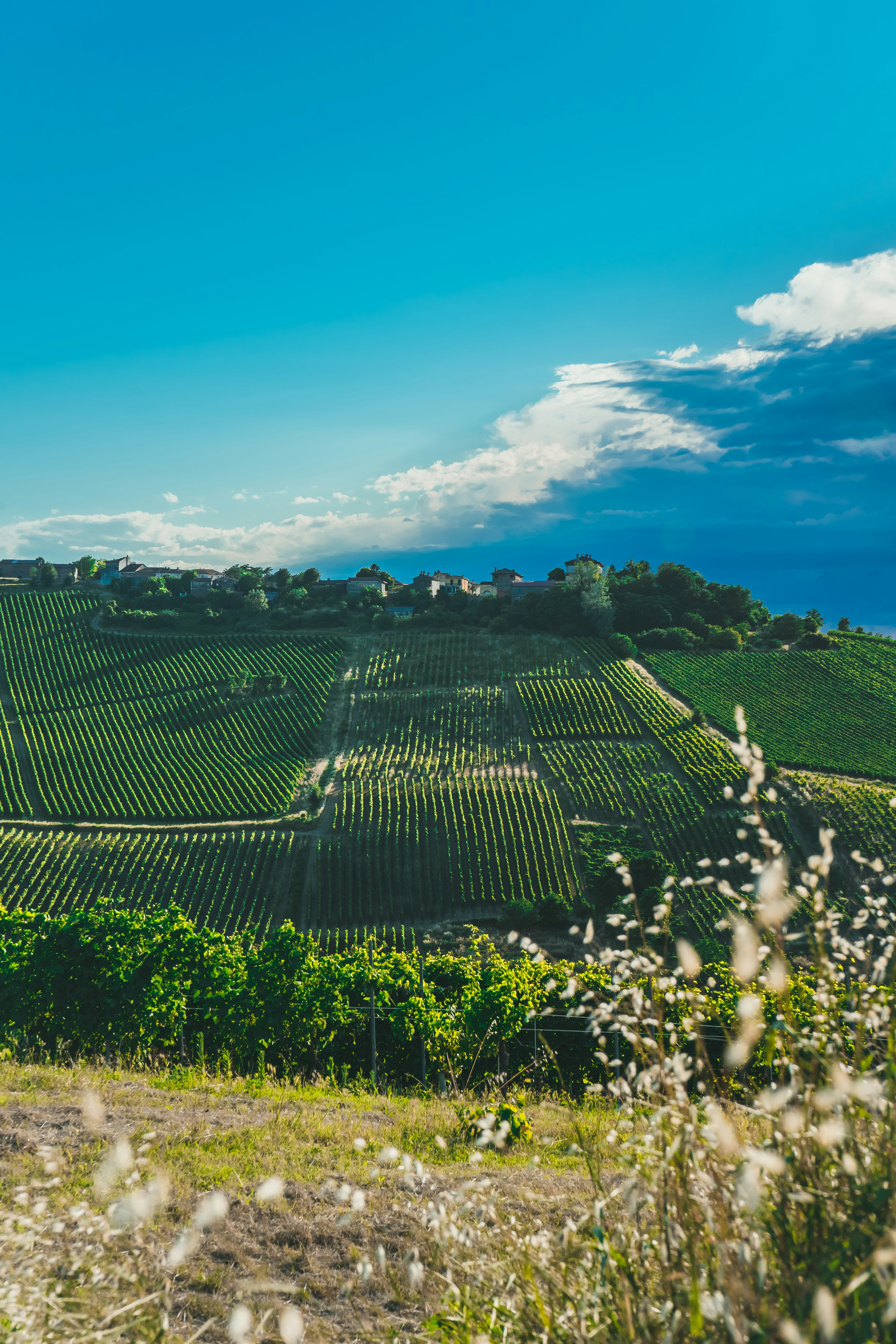 Photo by giovanni1304