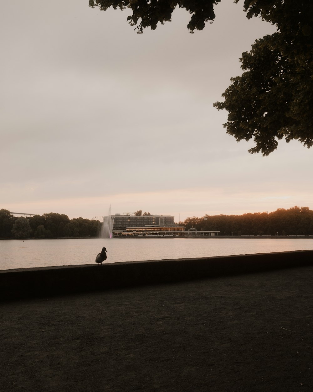 body of water near trees during daytime