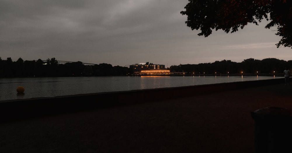 body of water near trees during night time