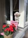 Small white dog wearing a vibrant handmade pink dress, sitting happily on a sunny porch.