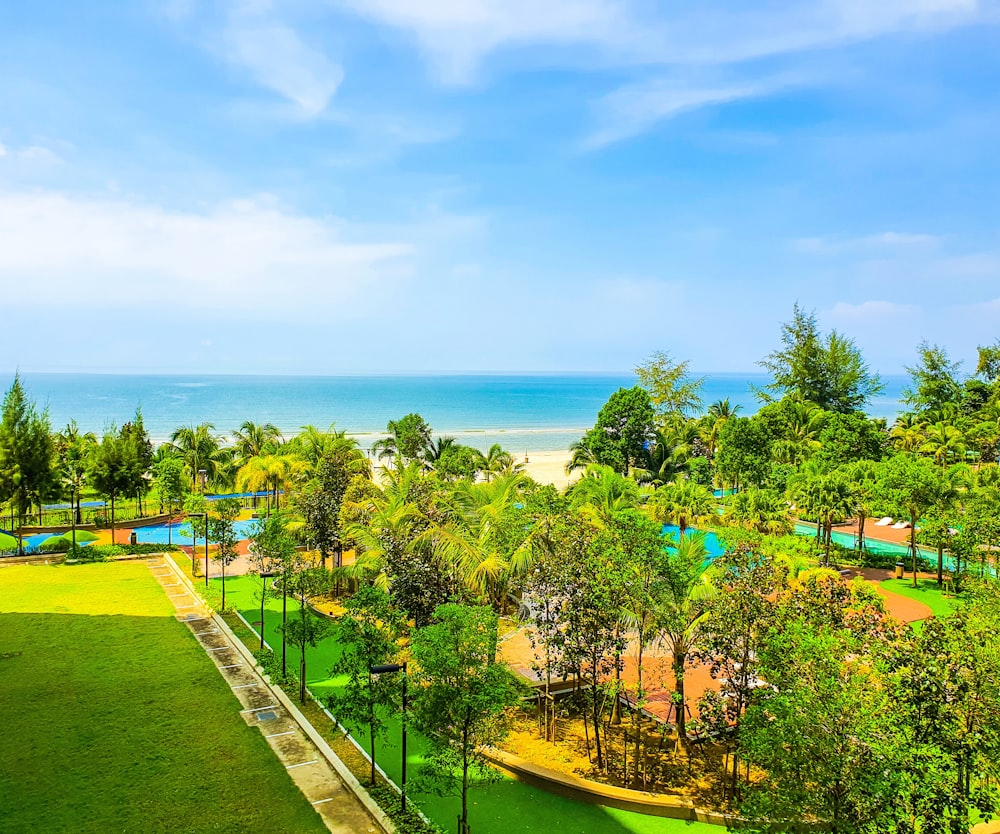 green trees near body of water during daytime