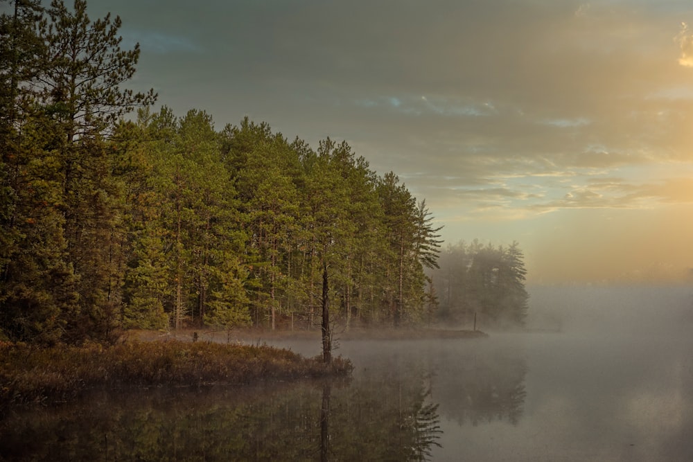 green trees beside lake under cloudy sky during daytime