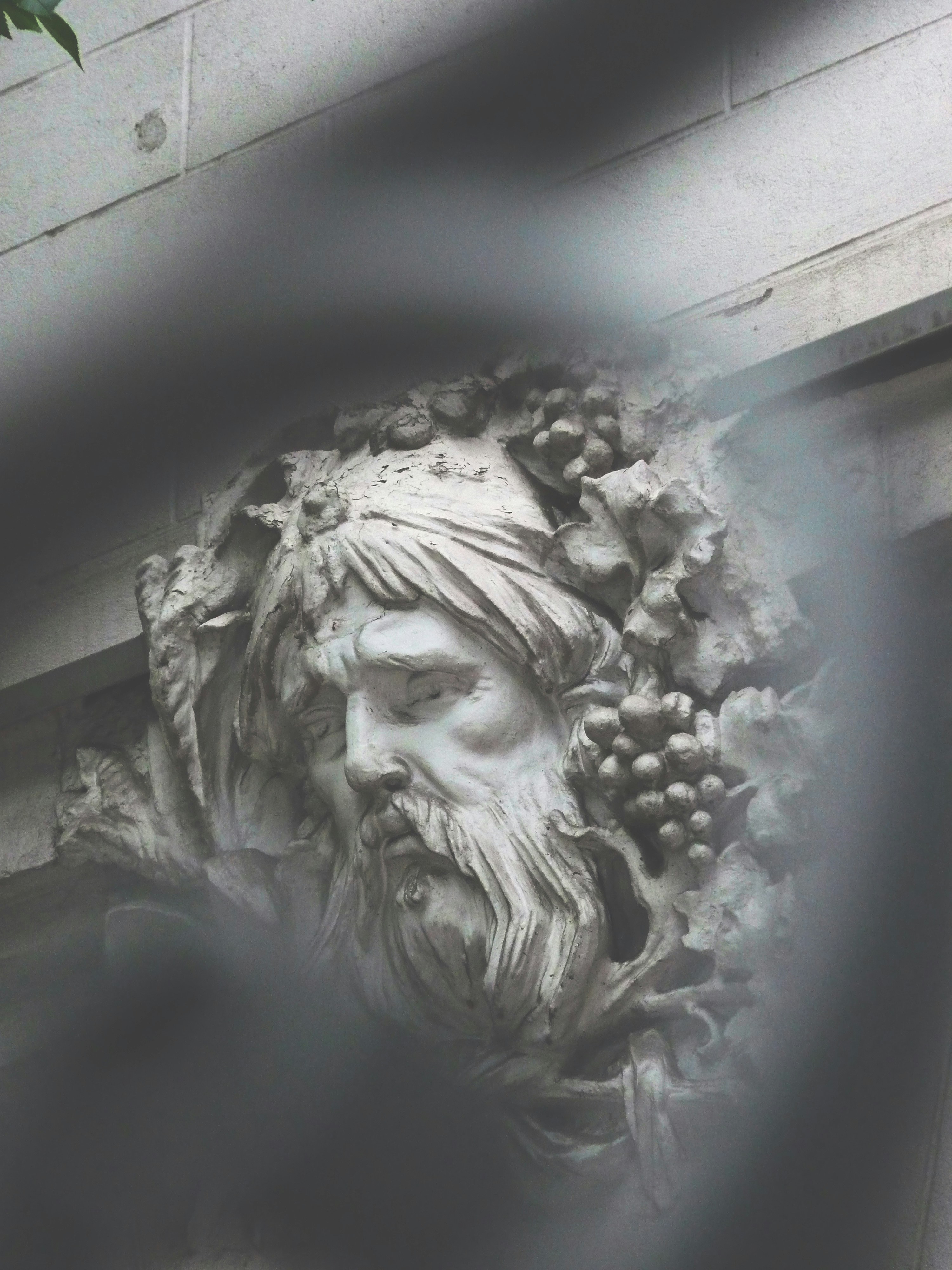 Photo by mari_oleacu