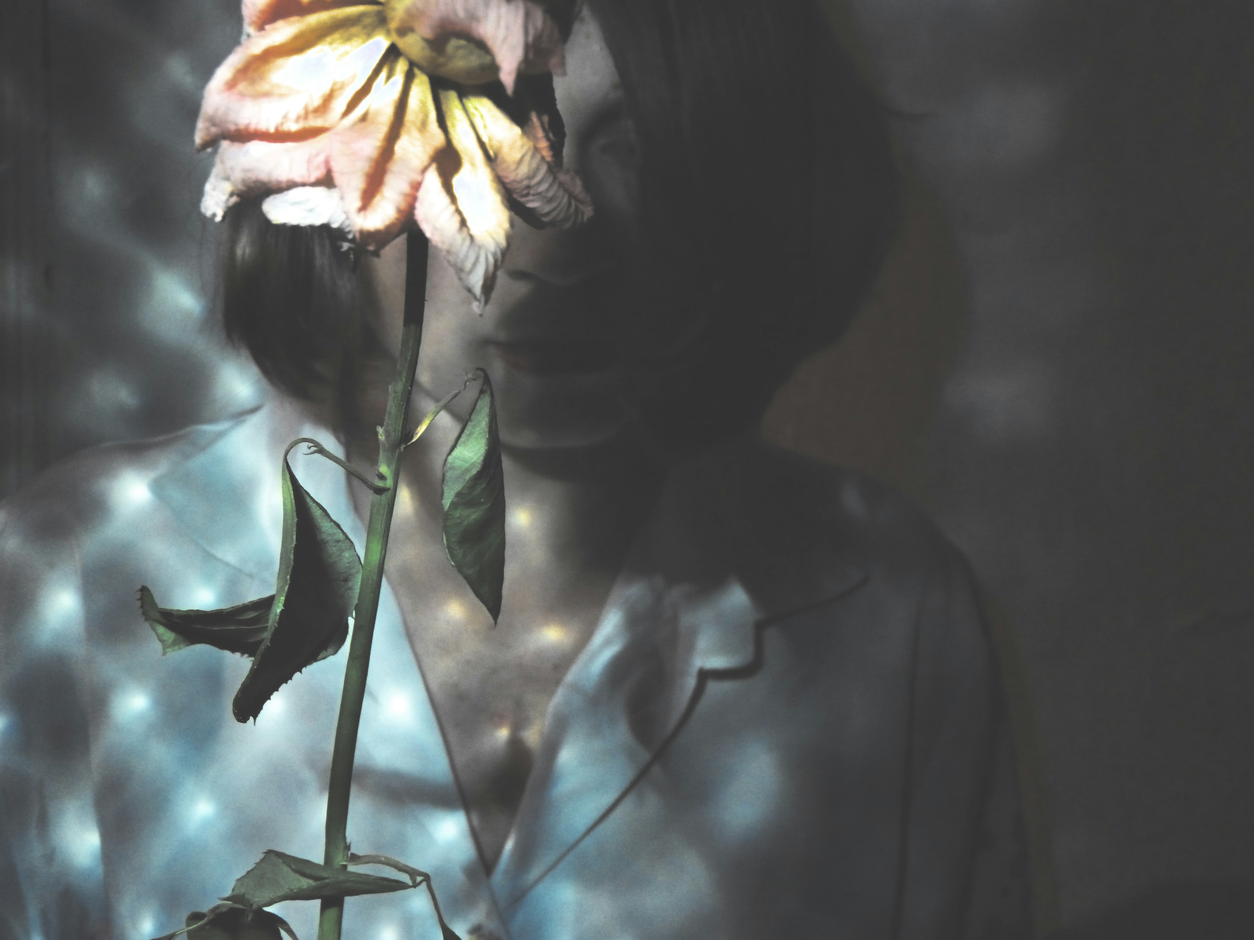 Photo by mari_oleacu