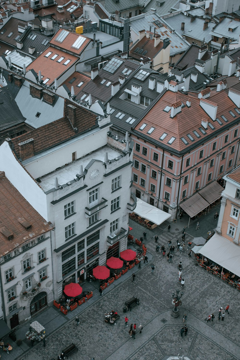 people walking on street near buildings during daytime