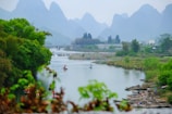 green trees near body of water during daytime