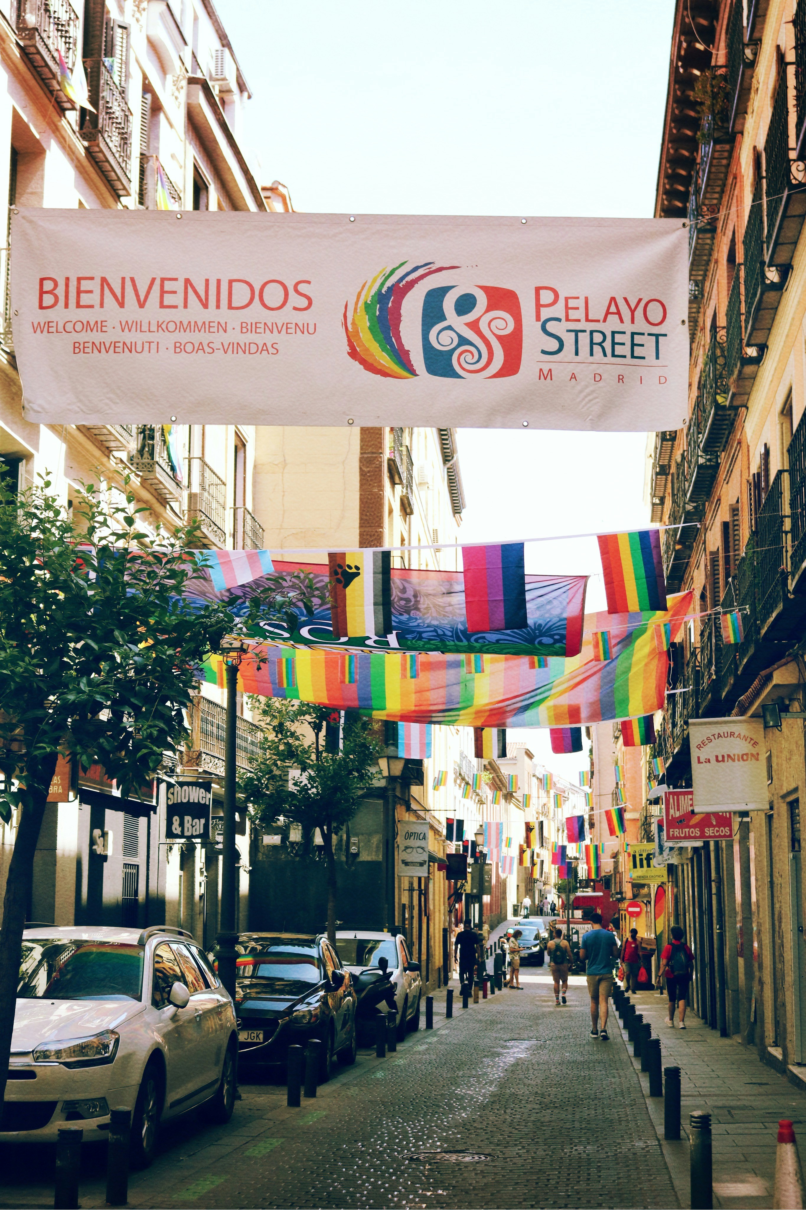 people walking on street during daytime