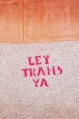 Pink graffiti text reading 'LEY TRANS YA' is painted onto a textured concrete surface. Above it, there is an orange tiled section.