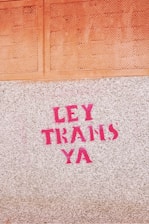 Pink graffiti text reading 'LEY TRANS YA' is painted onto a textured concrete surface. Above it, there is an orange tiled section.