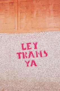 Pink graffiti text reading 'LEY TRANS YA' is painted onto a textured concrete surface. Above it, there is an orange tiled section.