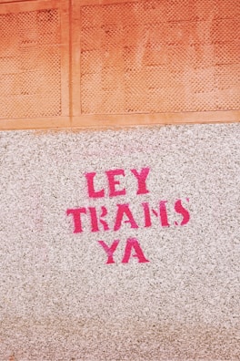 Pink graffiti text reading 'LEY TRANS YA' is painted onto a textured concrete surface. Above it, there is an orange tiled section.