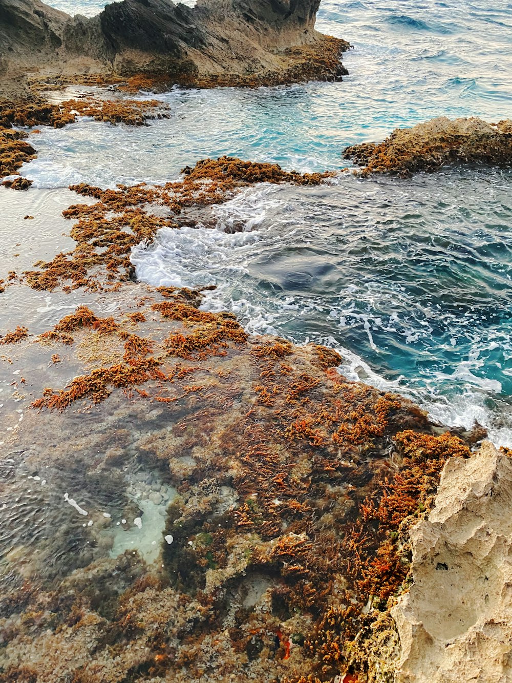 brown and gray rock formation beside body of water during daytime