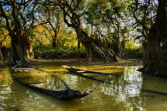 brown boat on river near trees during daytime in Sylhet Bangladesh