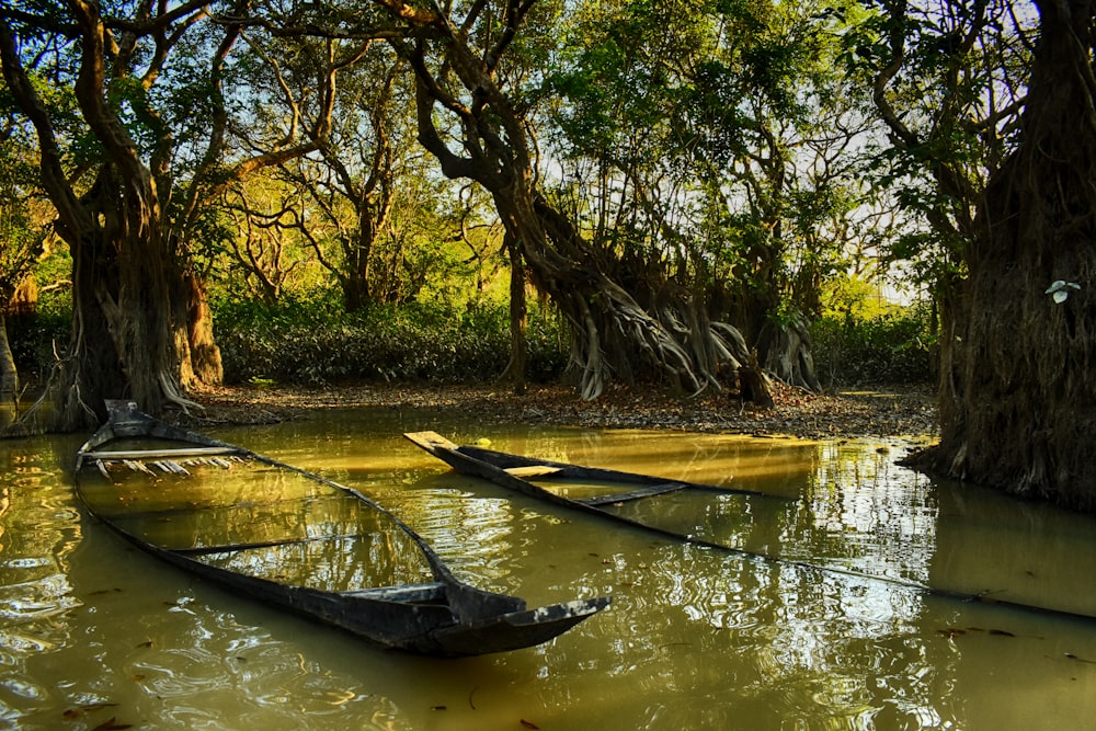 Braunes Boot auf dem Fluss in der Nähe von Bäumen während des Tages