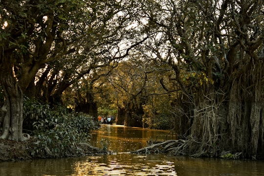 person riding on boat on river during daytime in Sylhet Bangladesh