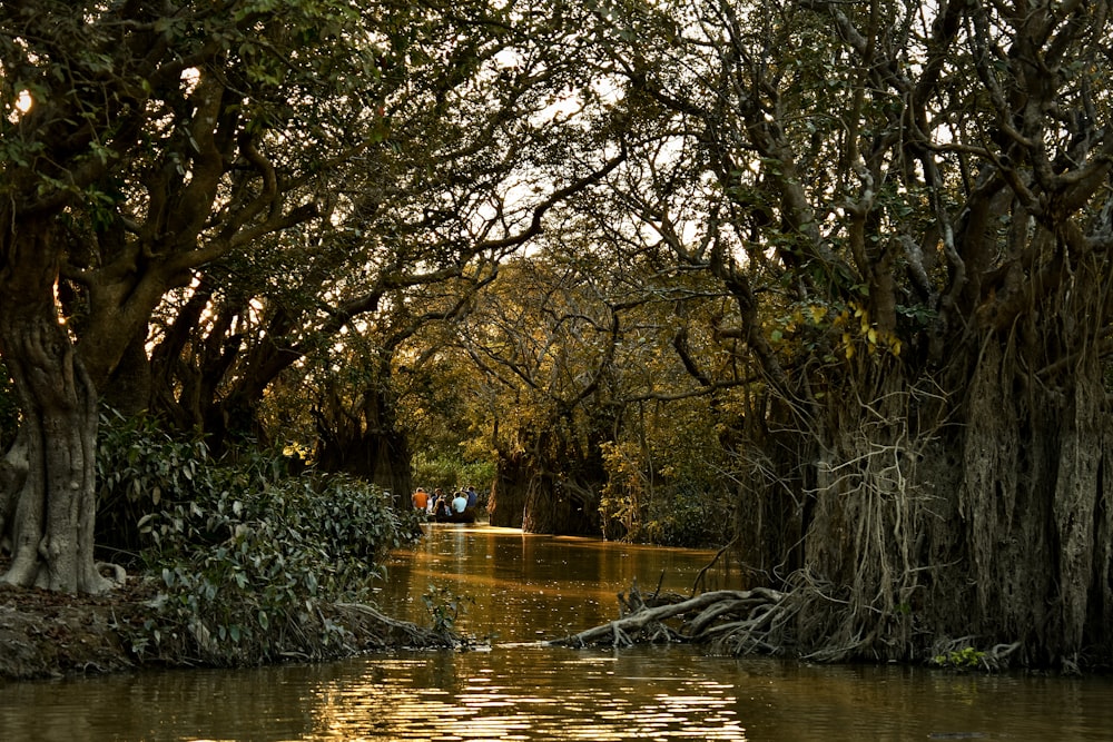 person riding on boat on river during daytime