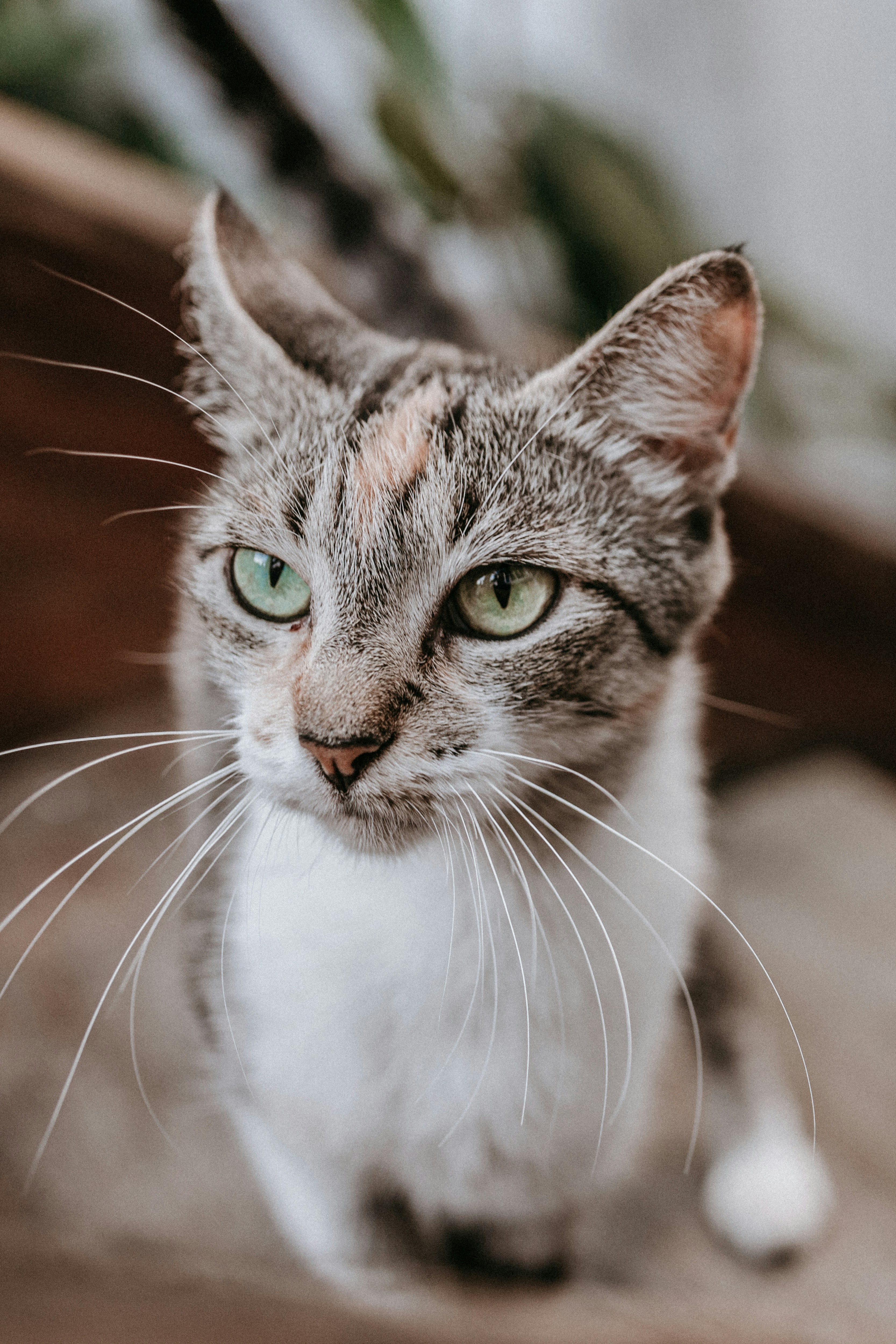 Photo by vitormonthay