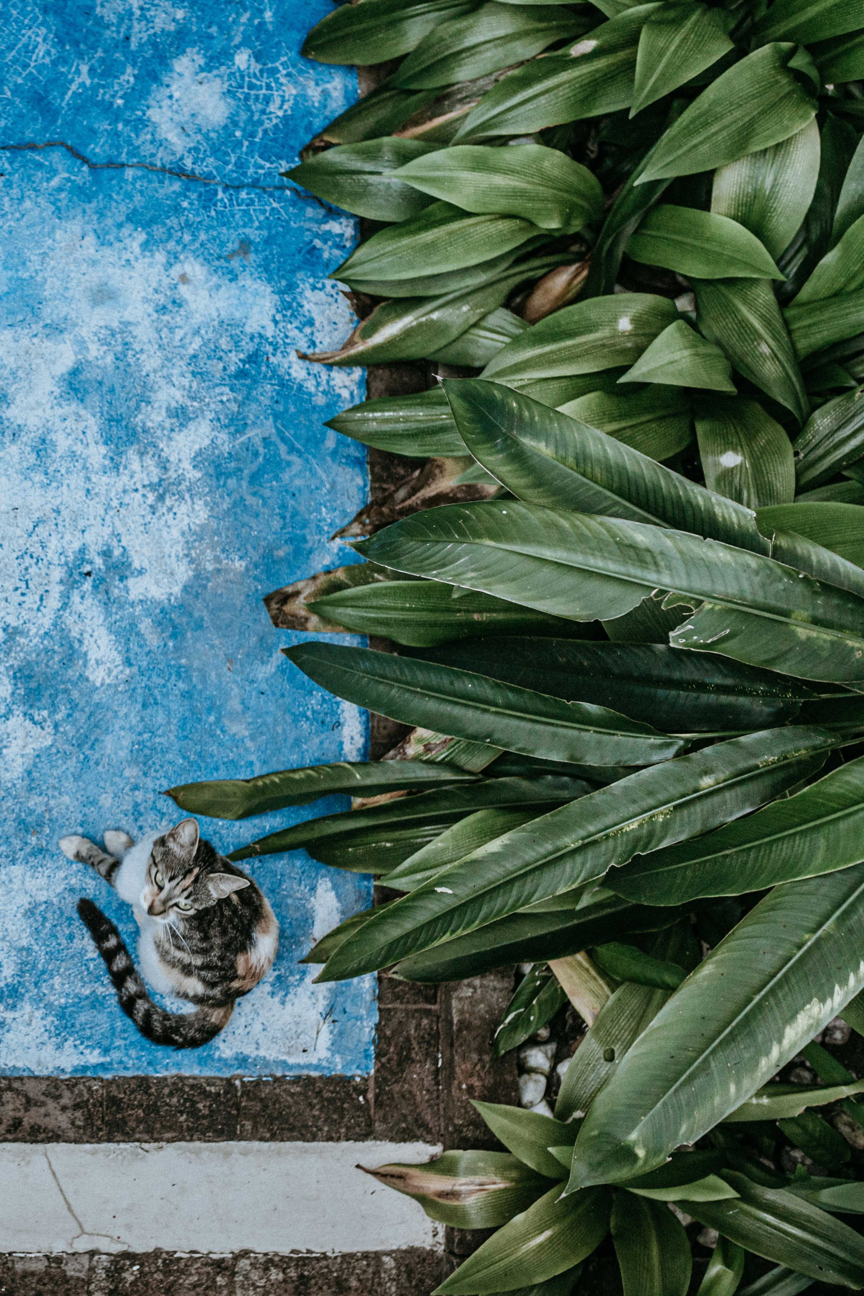 Photo by Vitor Monthay on Unsplash