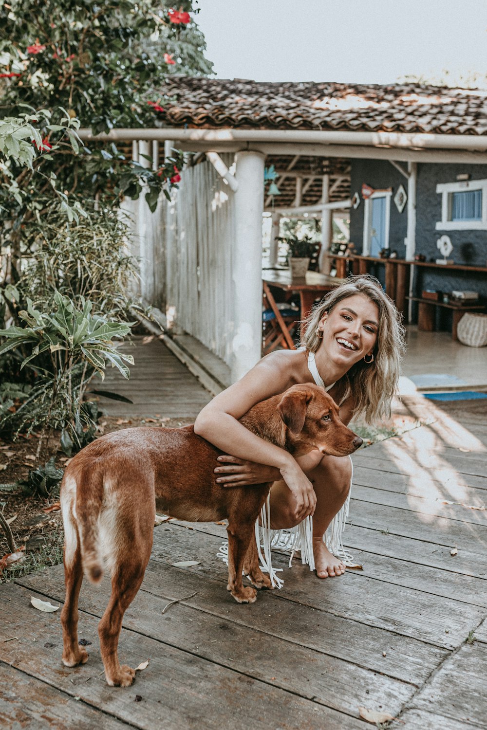 Cane a pelo corto marrone sul molo di legno durante il giorno