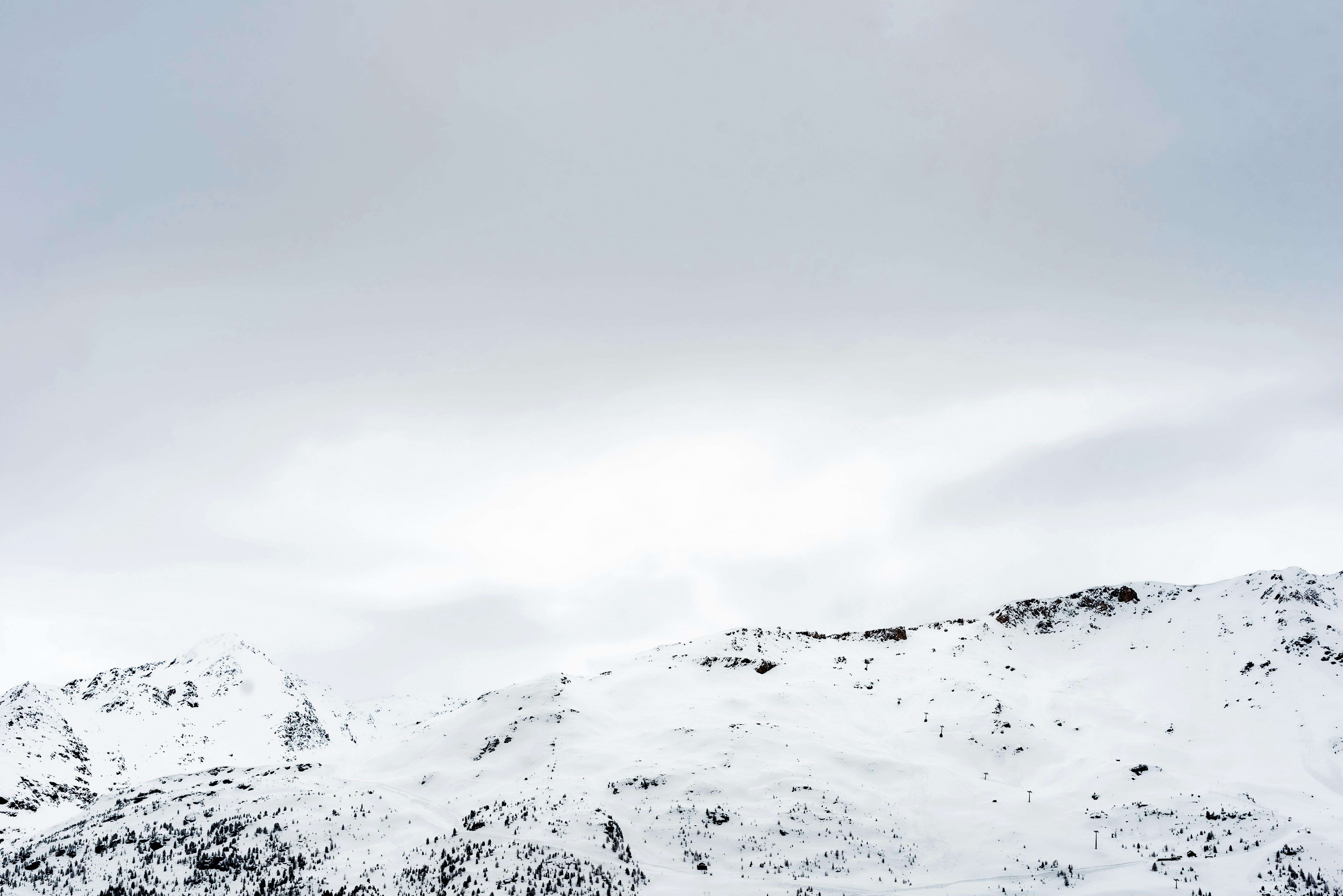 Photo by lauraadaiphoto