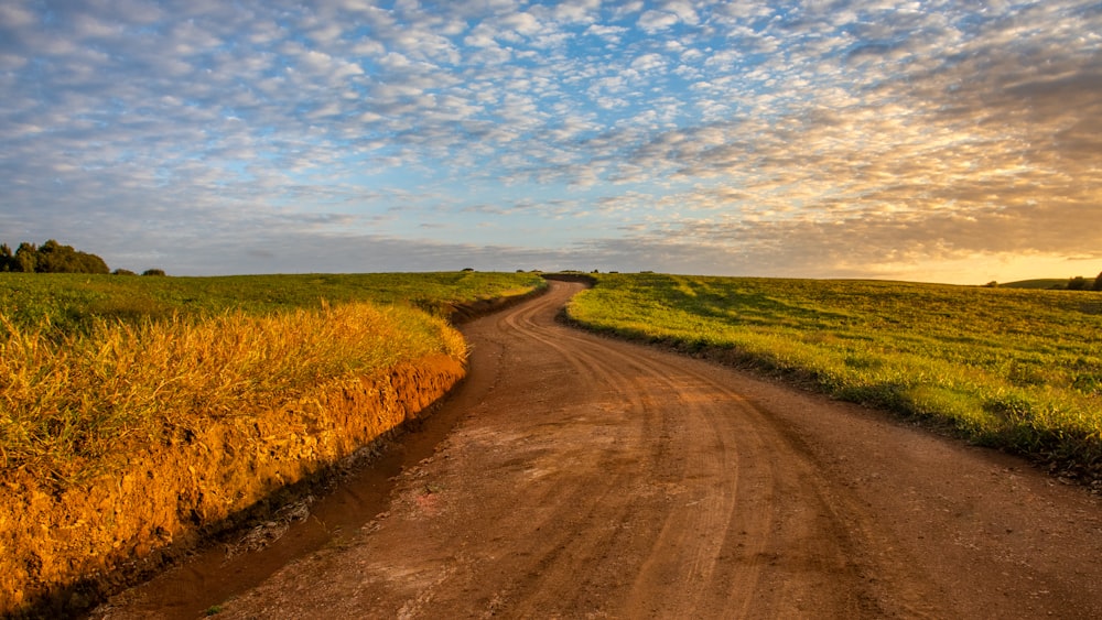 brown dirt road between green grass field under blue sky during daytime