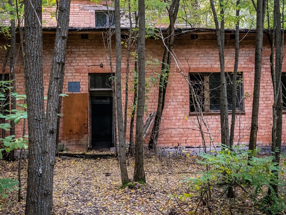 brown brick house surrounded by trees