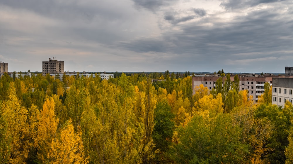 日中、灰色の雲の下、茶色のコンクリートの建物の近くにある黄色い葉の木