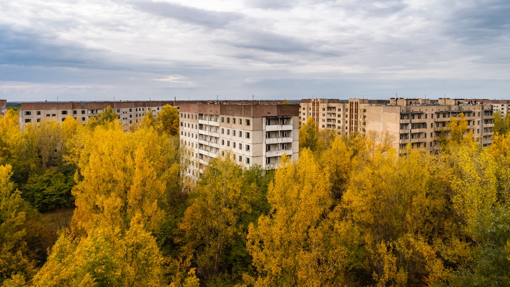 green trees near brown concrete building during daytime