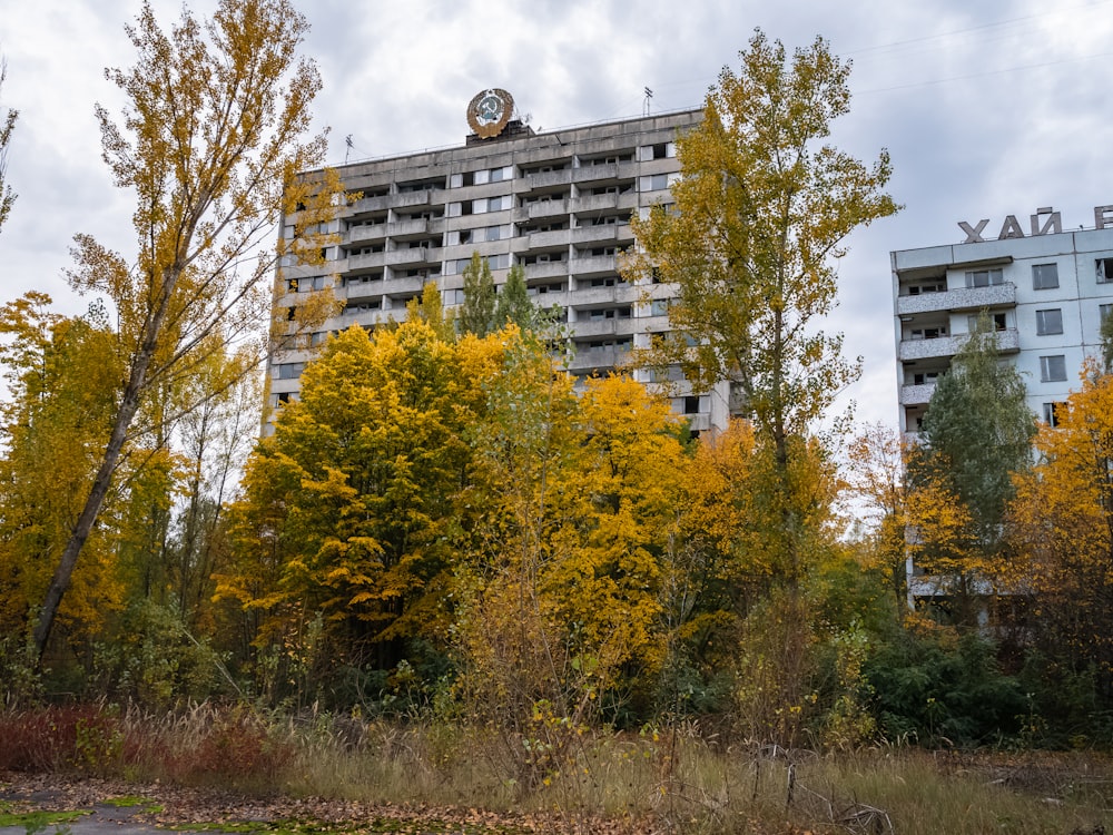 yellow and green trees near white concrete building during daytime