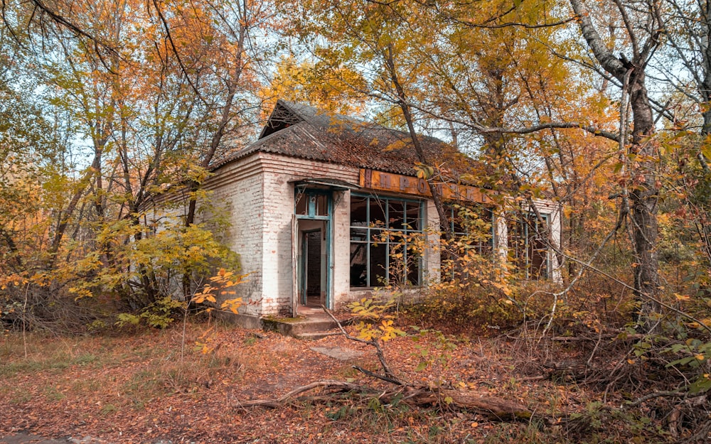 casa di cemento marrone e bianco circondata da alberi durante il giorno