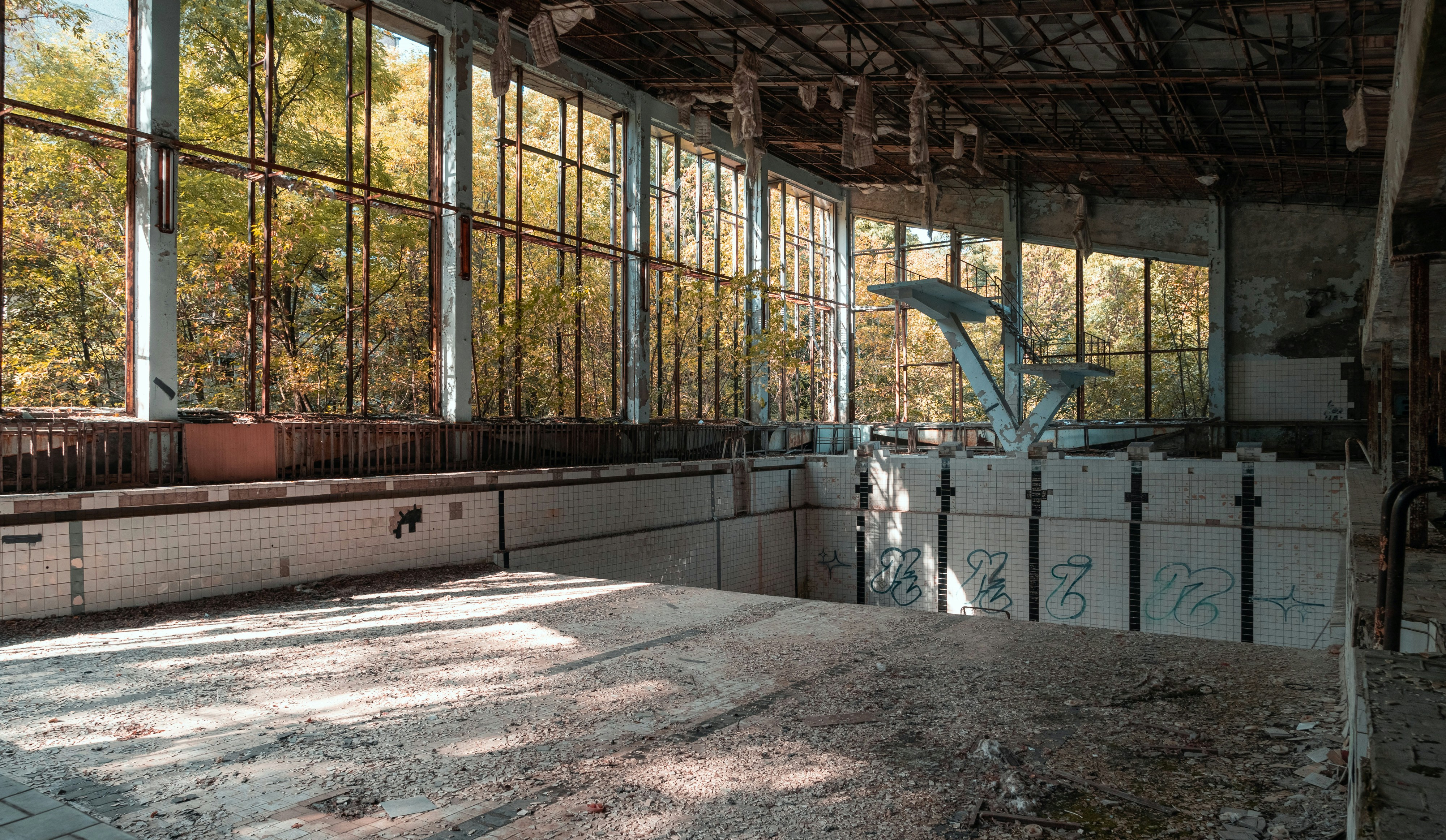 brown wooden fence near green trees during daytime