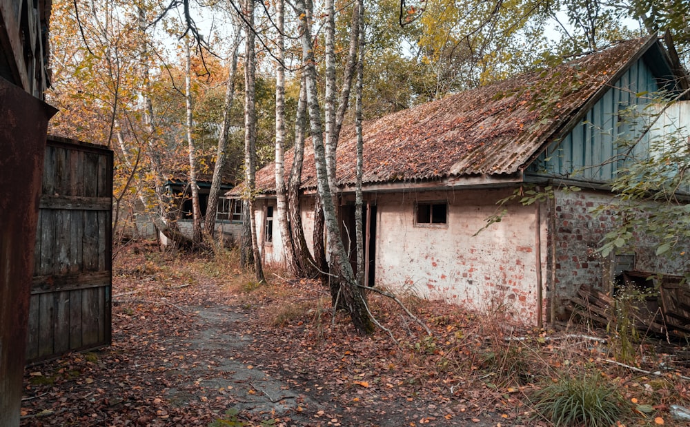 casa di cemento bianco circondata da alberi durante il giorno