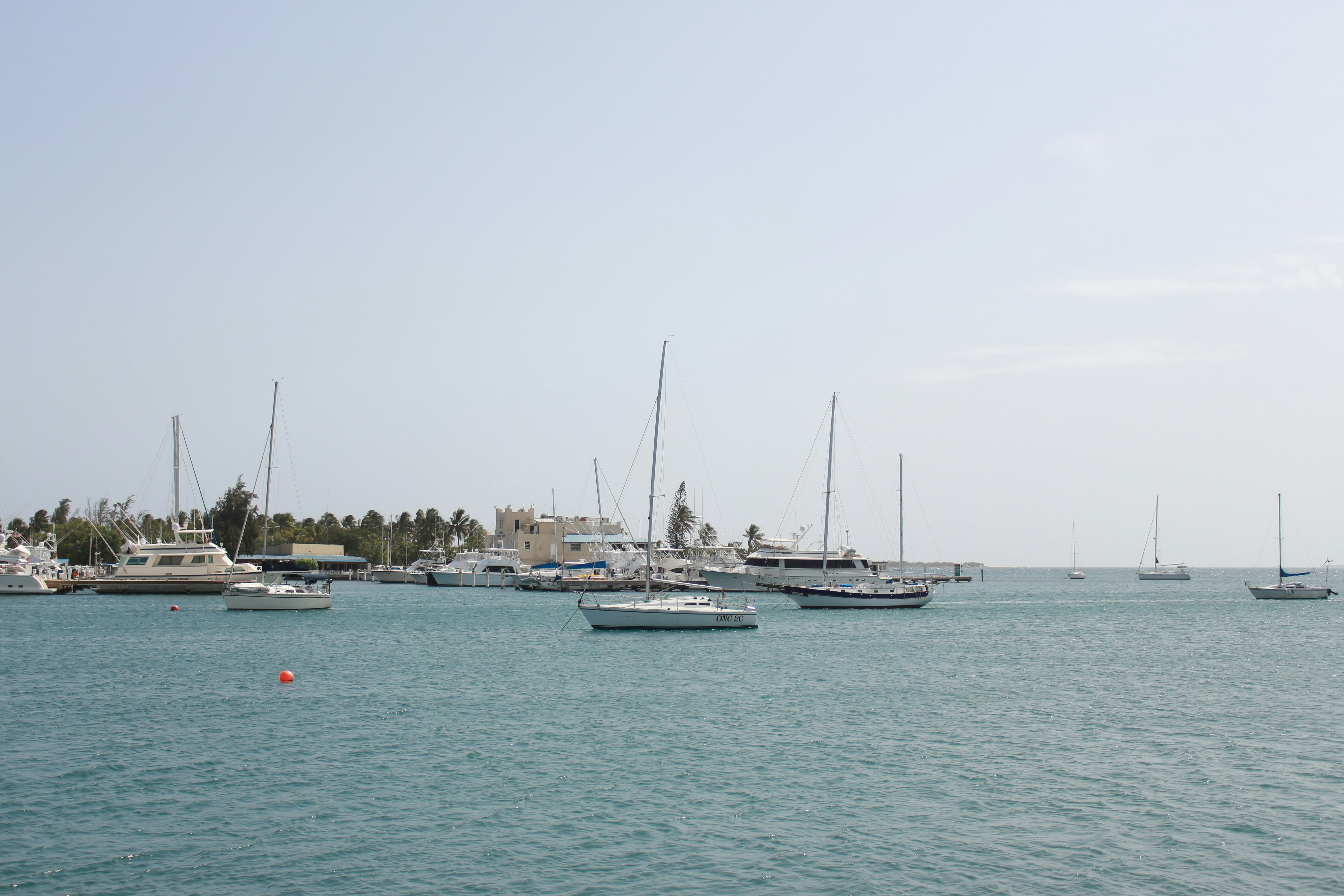 Photo by gabioppenheimer