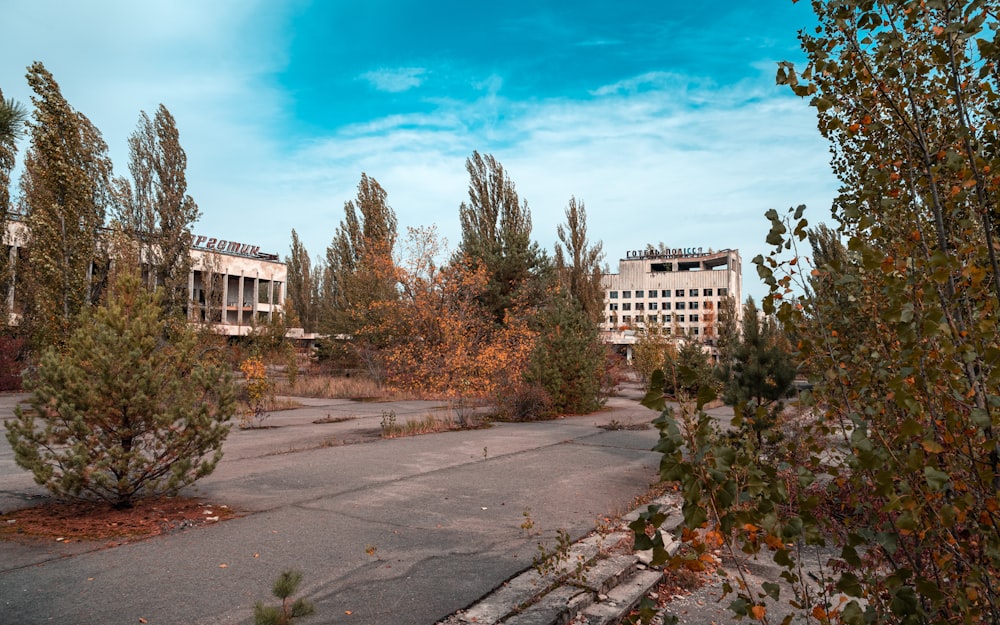 brown and white concrete building near trees under blue sky during daytime