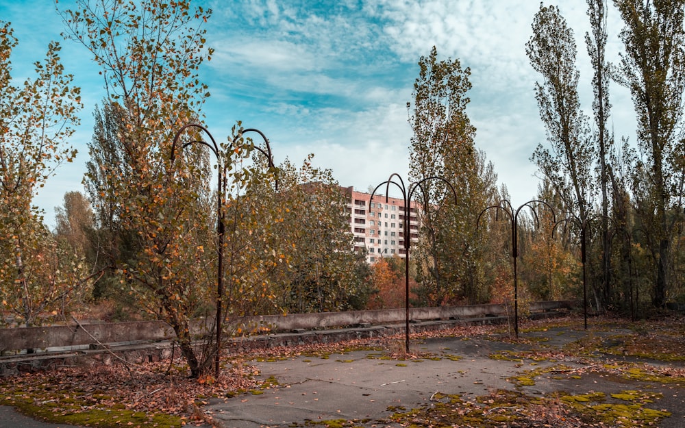 Árboles verdes cerca de edificios blancos y rojos durante el día