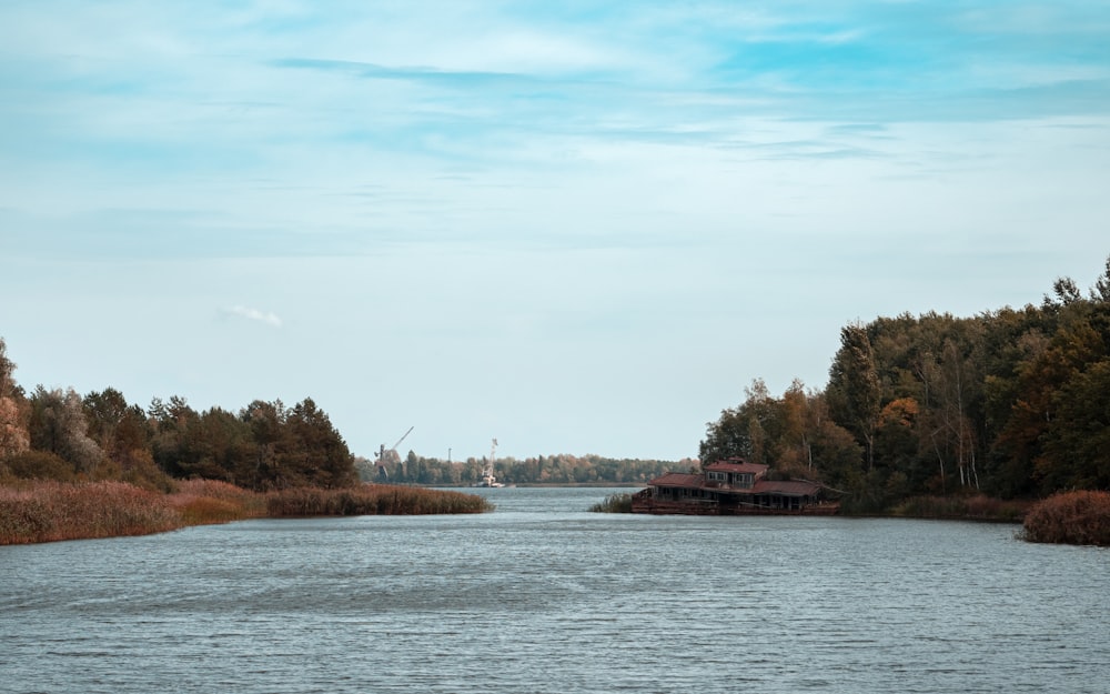 green trees beside body of water during daytime