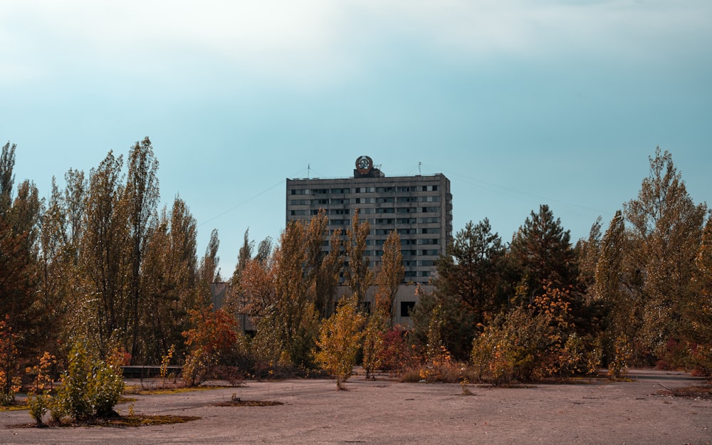 alberi verdi vicino a un edificio in cemento bianco durante il giorno